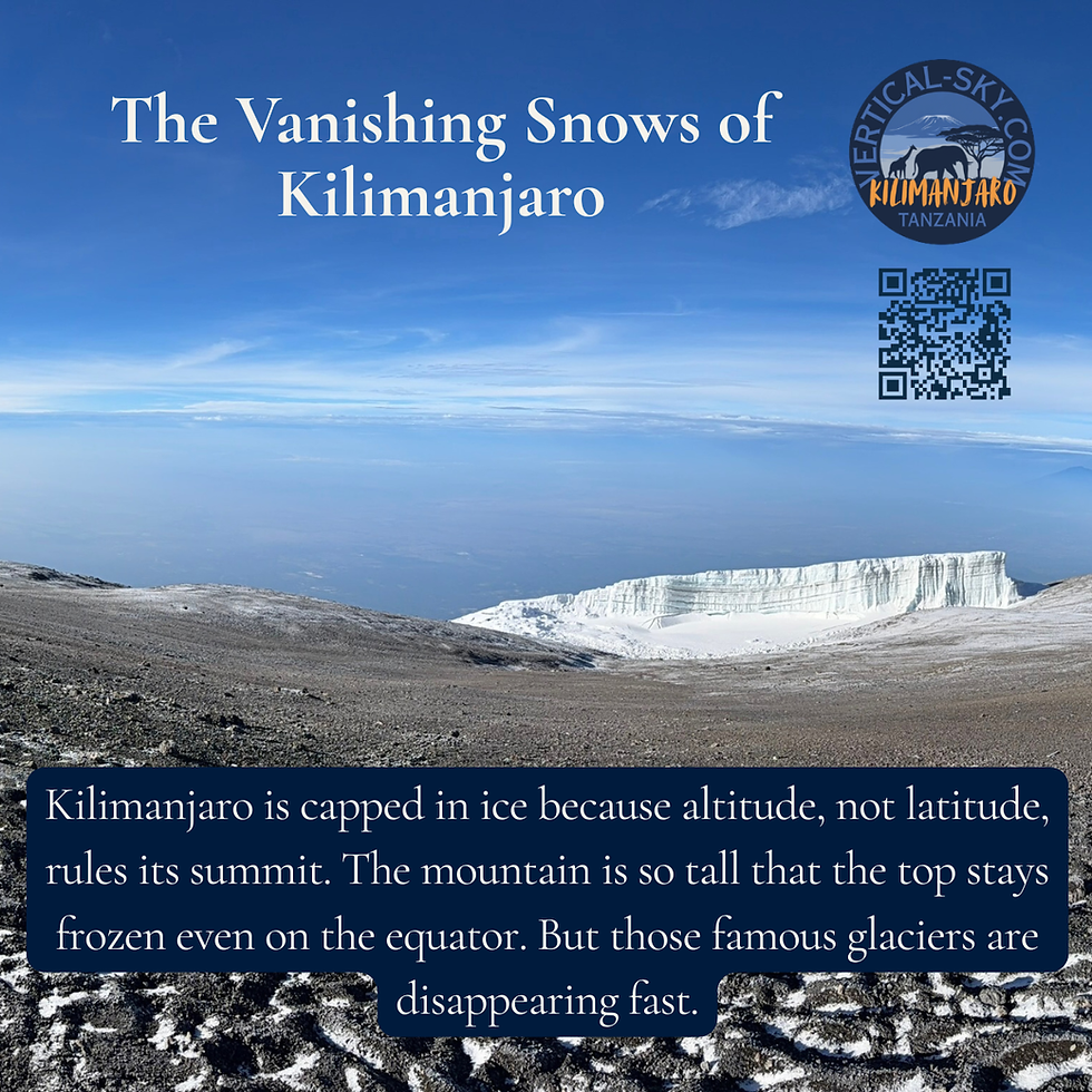 The view of the glacier at the summit of Kilimanjaro