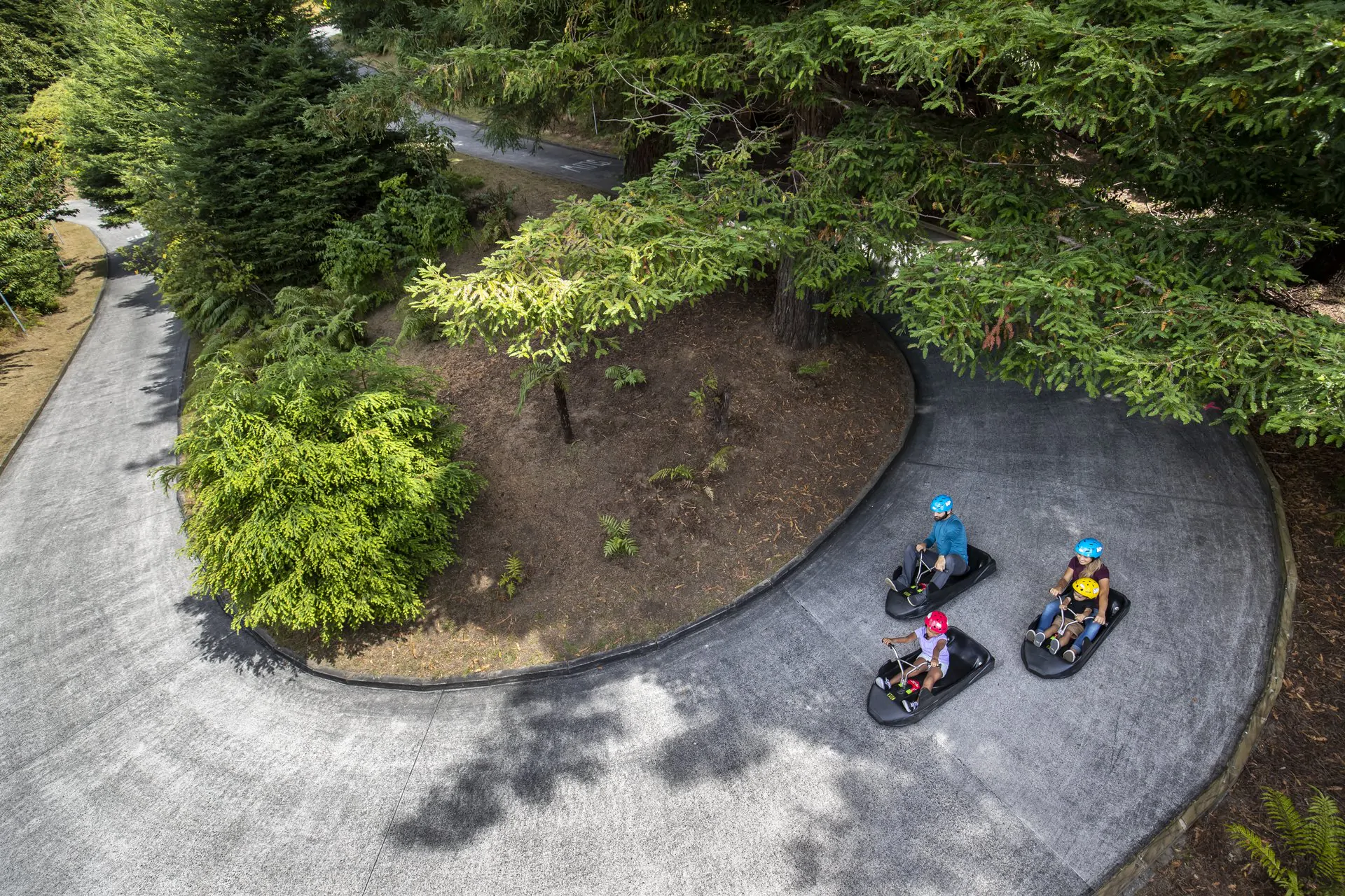 Skyline-Rotorua_Luge_family-in-forest-aerial-large.webp