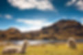 Ecuador_Cajas 2