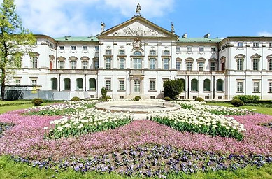 Krasinski Palace.jpeg