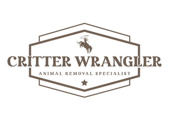 Cowboy with lasso on a bucking horse with words that say critter wrangler