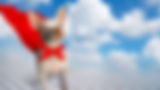 FF-fred-hero-01.jpg