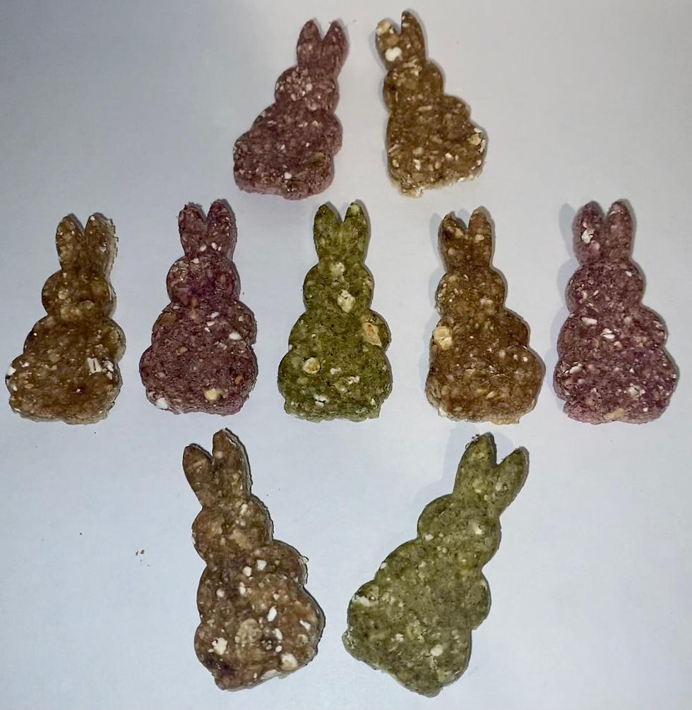Mixes Bunnies - Oats