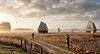 Bespoke modern timber micro-pavilions designed by Cavaleri Partnership for a private client in Cambridgeshire, showcasing a sharp geometric pyramidal structure and natural vertical wood strip cladding, seamlessly integrated into a wide open fenland reed bed landscape under a clear blue sky.