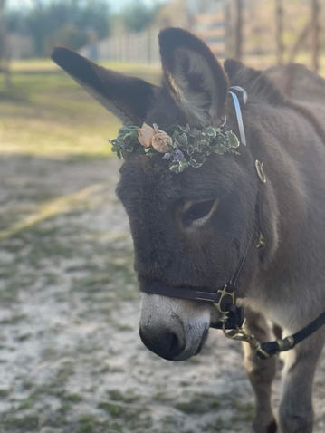 Baby Donk Flower hat.jpeg