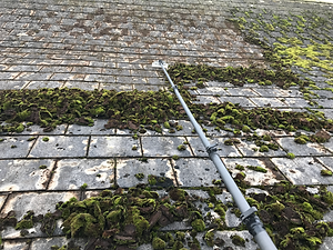 ROOF_CLEANING_SCRAPER.png