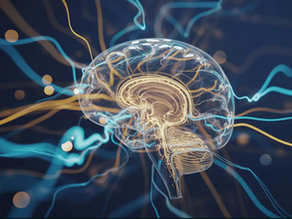 How Addiction Hijacks the Brain Infographic