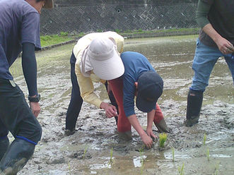兵庫県川辺郡放課後等デイサービスみちしるべ　発達支援　発達障害