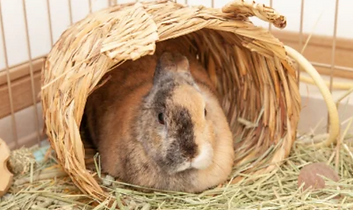 スクリーンショット 2024-12-10 102647.png