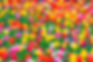 pixta_97831526_M.jpg