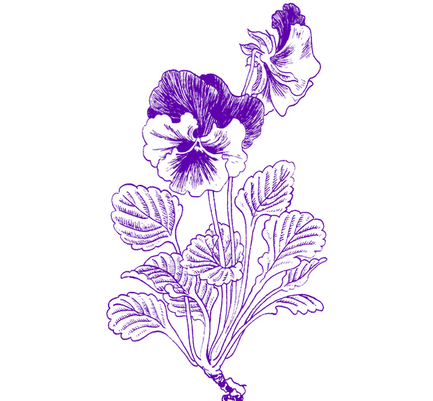 すみれ接骨院、ボディケアサロンすみれ、石川県小松市、重吉、Ken Yamamoto、メディカルボディケア、すみレッチ、猫背矯正、骨盤矯正、接骨院