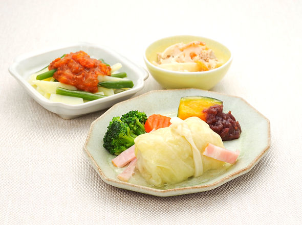 株式会社メディカルフーズ 神奈川県横浜市 健康食品 療養食 冷凍惣菜 全国配送 OEM製造 食と健康社