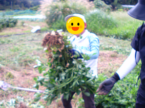 兵庫県川辺郡放課後等デイサービスみちしるべ　発達支援　発達障害