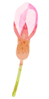 放課後等デイサービスつぼみイラスト