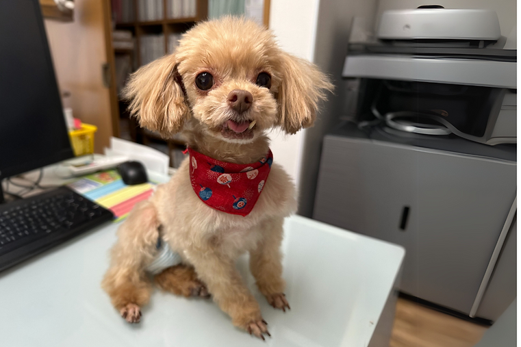 名称未設定のデザイン (8).png