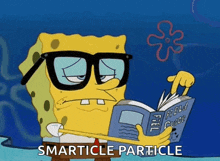spongebob-squarepants-field-guide.gif