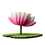 Thumbnail: Bumbu: lotus bloem