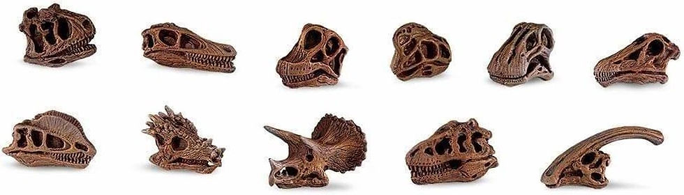 Thumbnail: Safari LTD toob dino skulls
