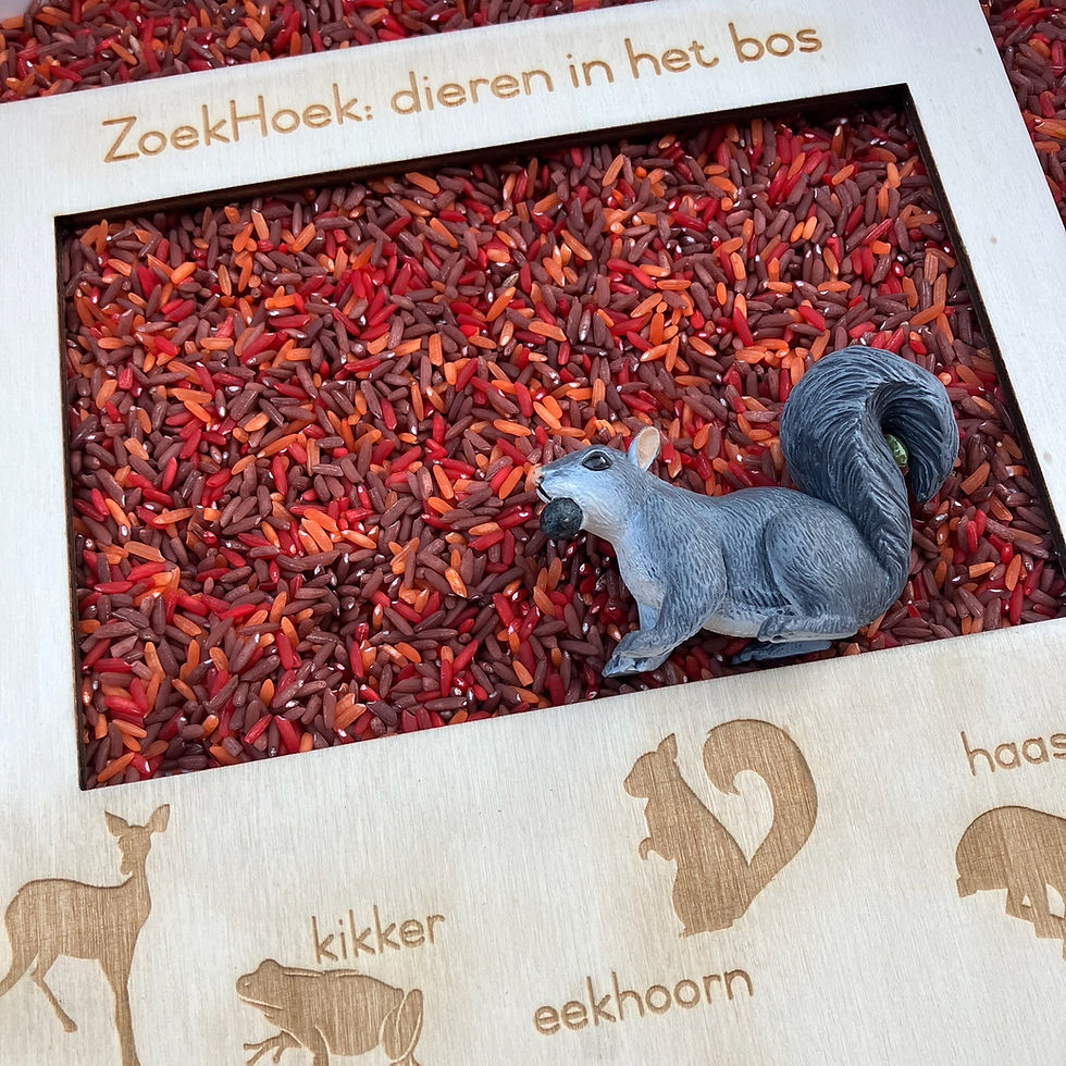 Thumbnail: Zoekhoek: dieren in het bos