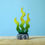 Thumbnail: Suiker kelp zeewier