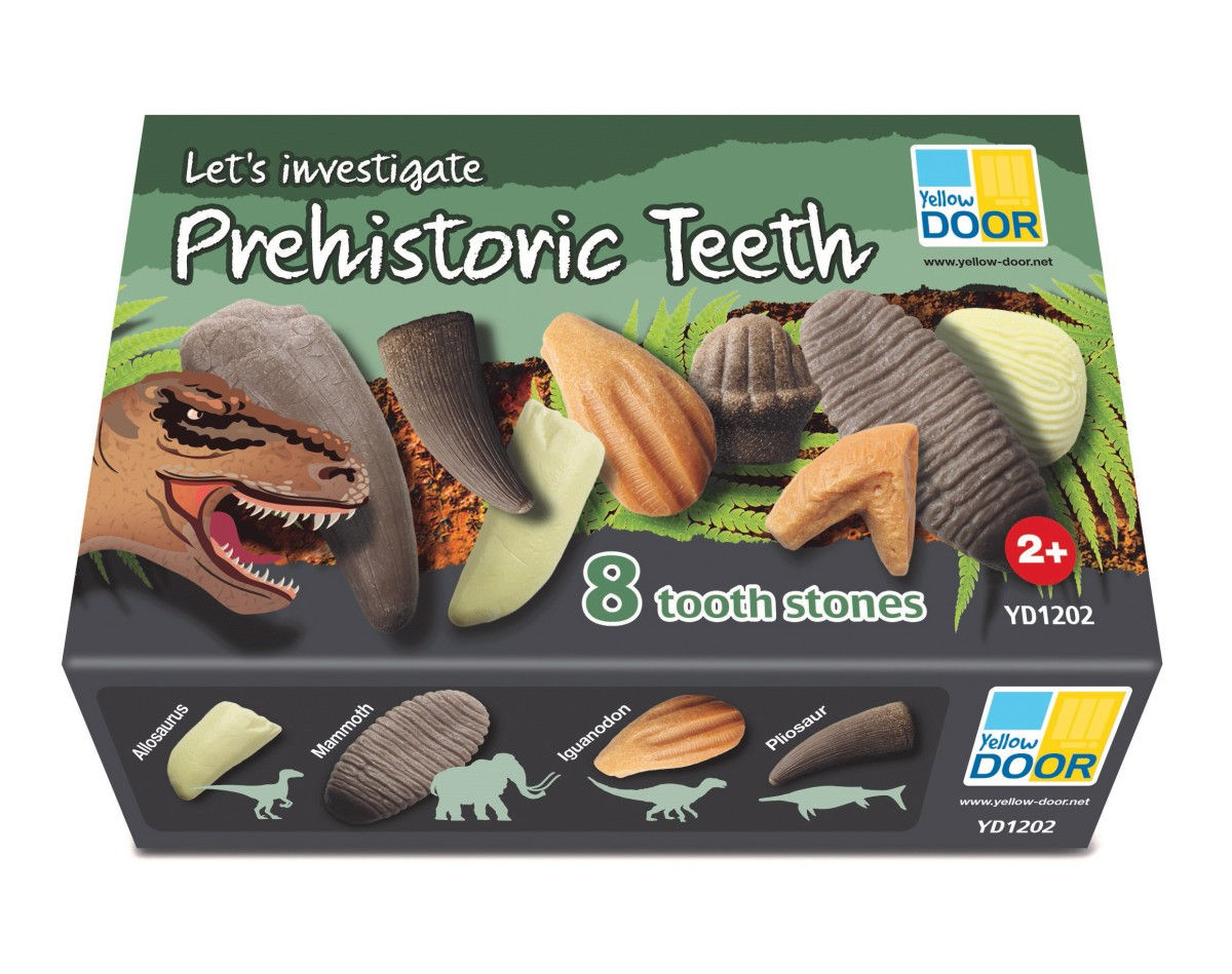 Let's investigate: prehistoric teeth