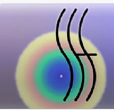 Sheila Fortune Foundation logo.jpg