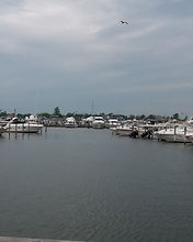 20190526_171800.jpg