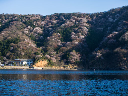 【北陸応援割受付終了のお知らせ】