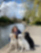 Prim and Proper Academy for Dogs' labradors