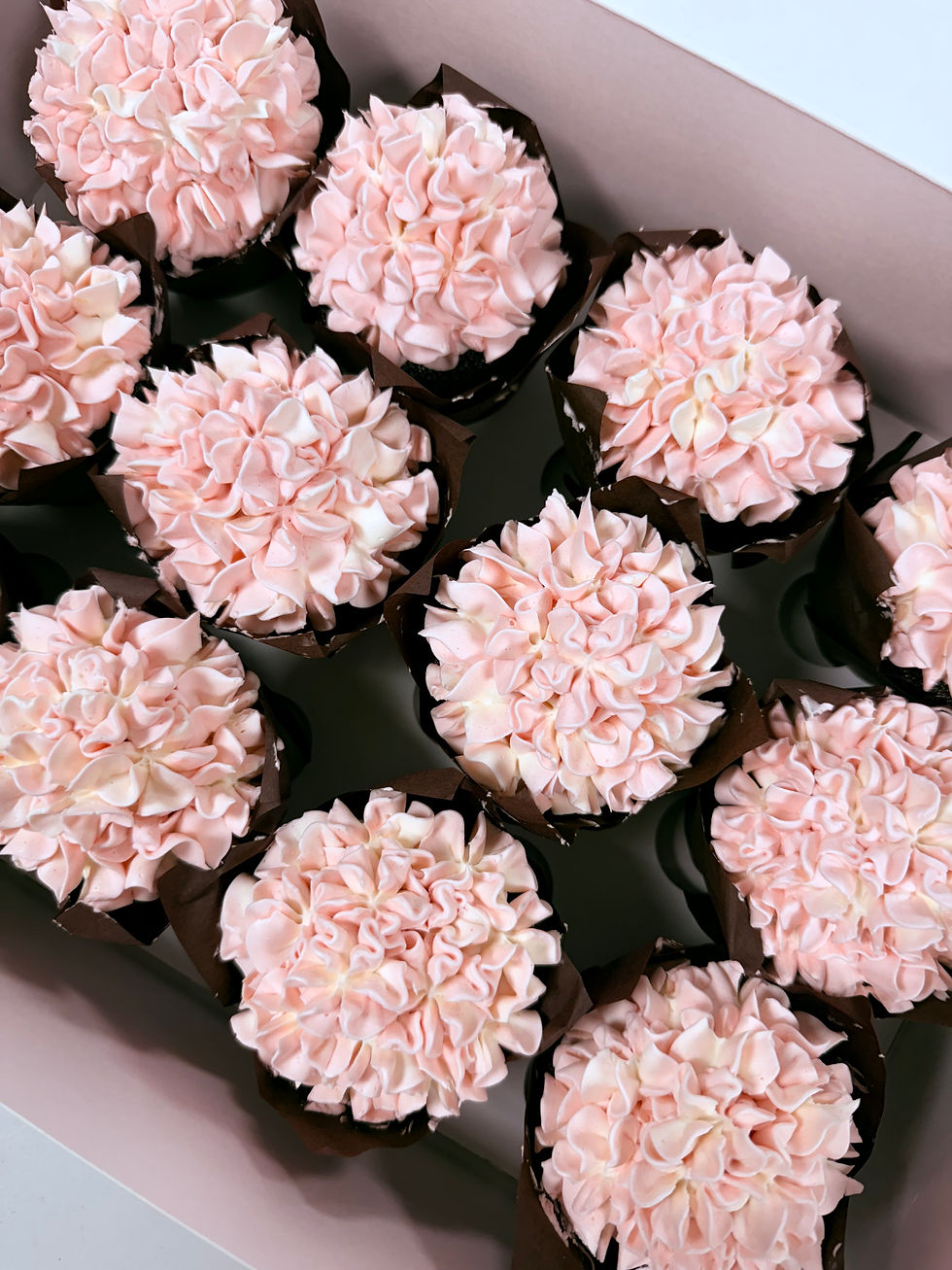 pink hydrangeas