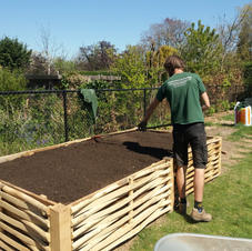 Aménagement et amendement de bacs potagers