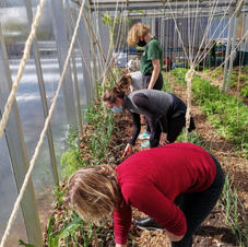 Formation au potager naturel