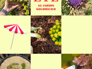 ☀️ Que faire absolument en été dans son jardin nourricier ?