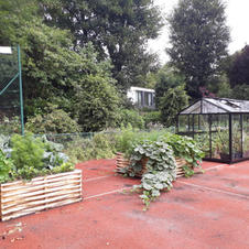 Projet original de reconversion d'un terrain de tennis en potager