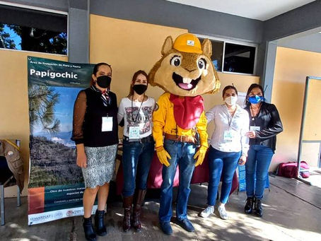 Realizan Festival Nacional por el Agua y los Bosques en Chihuahua