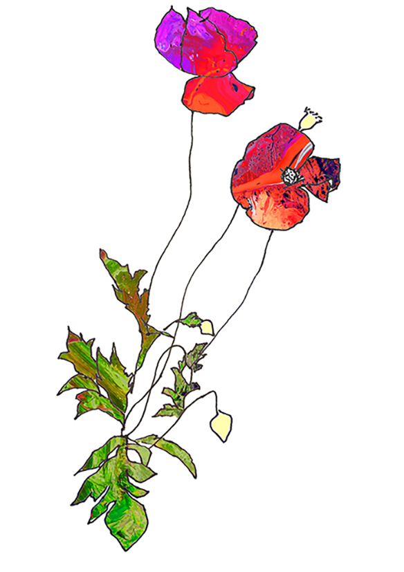 Art Image of Colorful Poppies