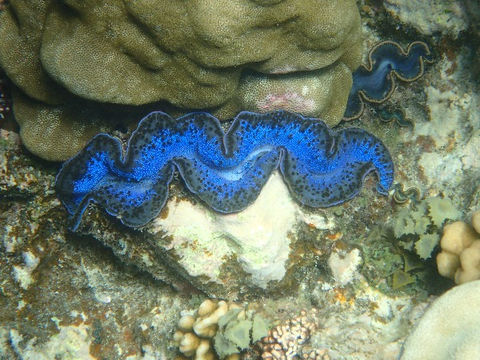 2019-05-11-0116-Gorgonia Beach_edited.jpg