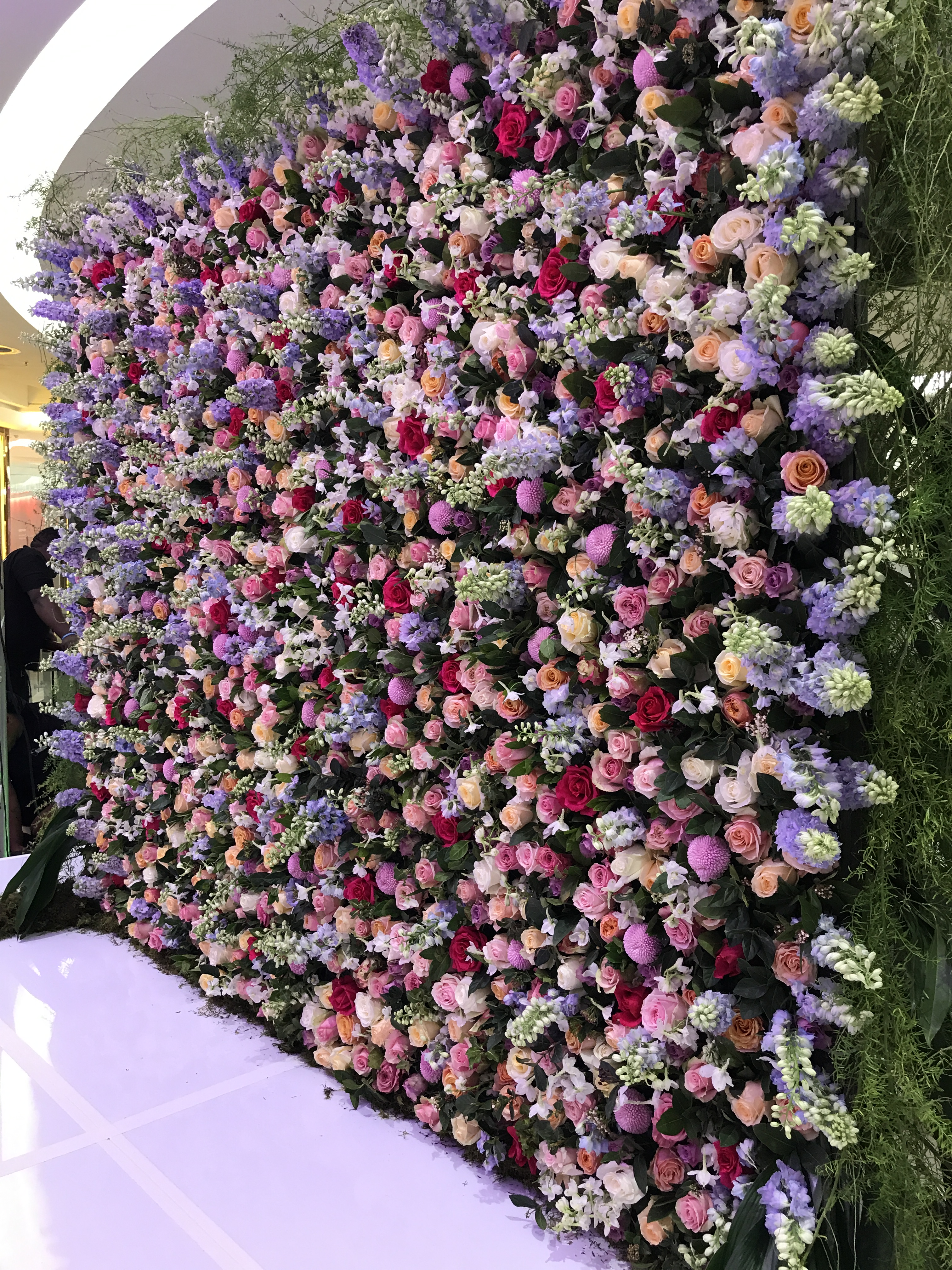 Flower Wall Oopsie Daisy Flowers South Africa