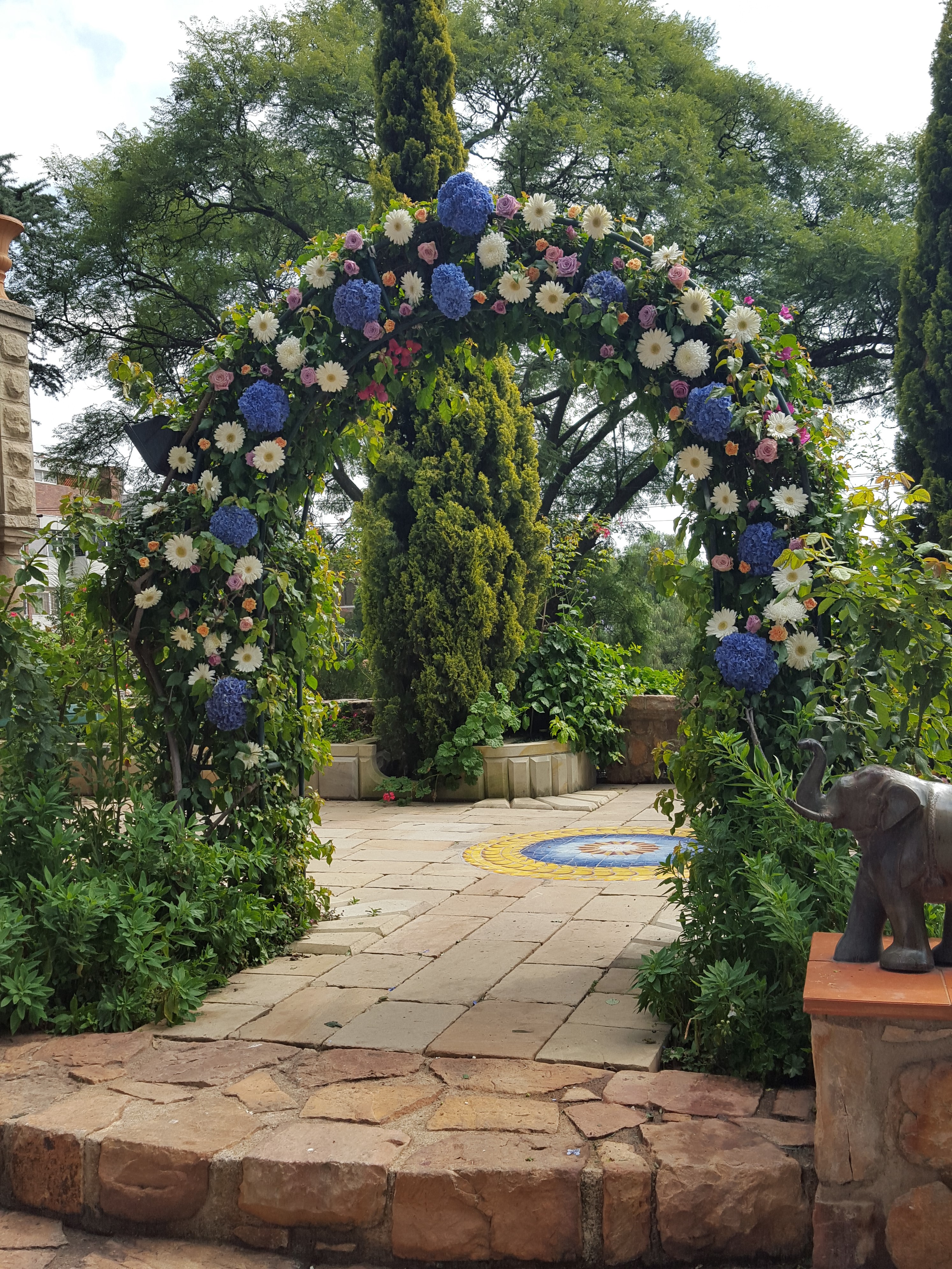 Flower Wall Oopsie Daisy Flowers South Africa