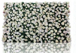 Snow White Floral Wall