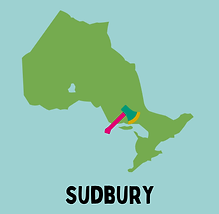 NO.png
