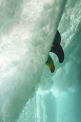 IMG_4009.jpg