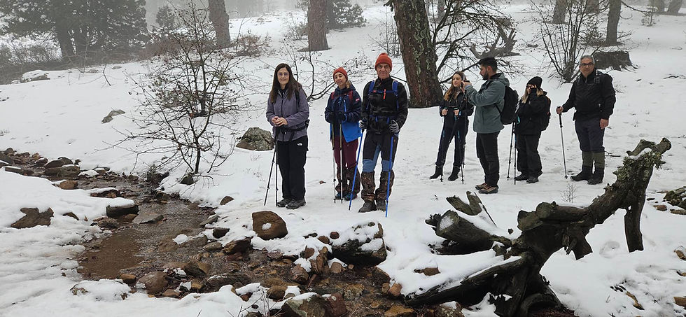 ΜΟΝΟΠΑΤΙ ΑΡΤΕΜΗΣ 25.1.2026