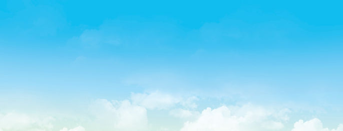 Back cover_edited.jpg