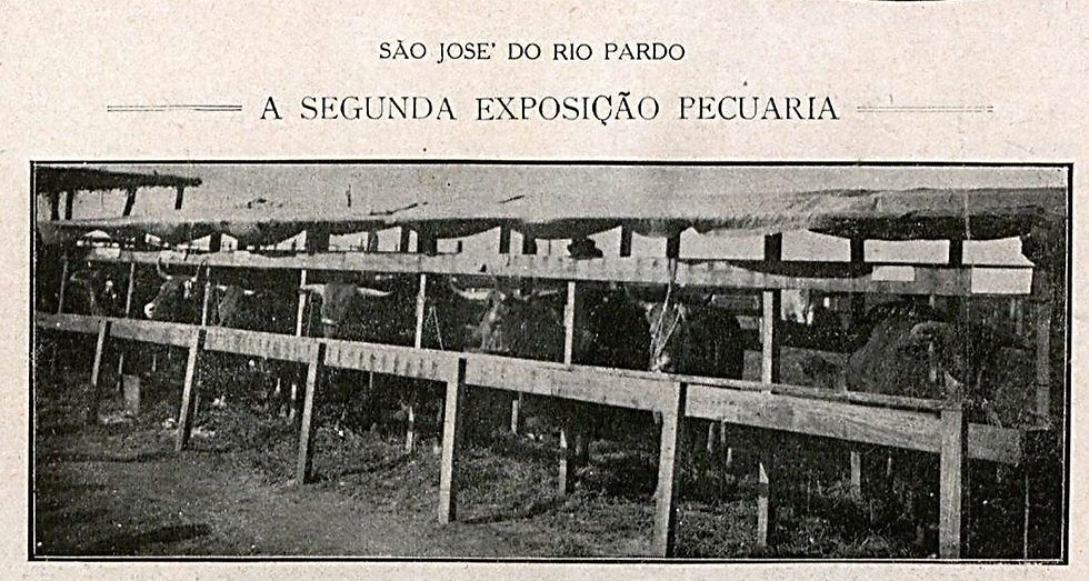 Segunda exposição pecuária em São José do Rio Pardo. Estábulo onde estavam os animais de Antonio Ribeiro Nogueira (pai), 1918 (Revista A Vida Moderna)