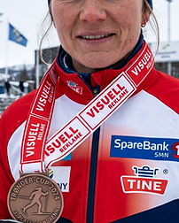 Reklame på medaljebånd trykk Visuell reklame.png