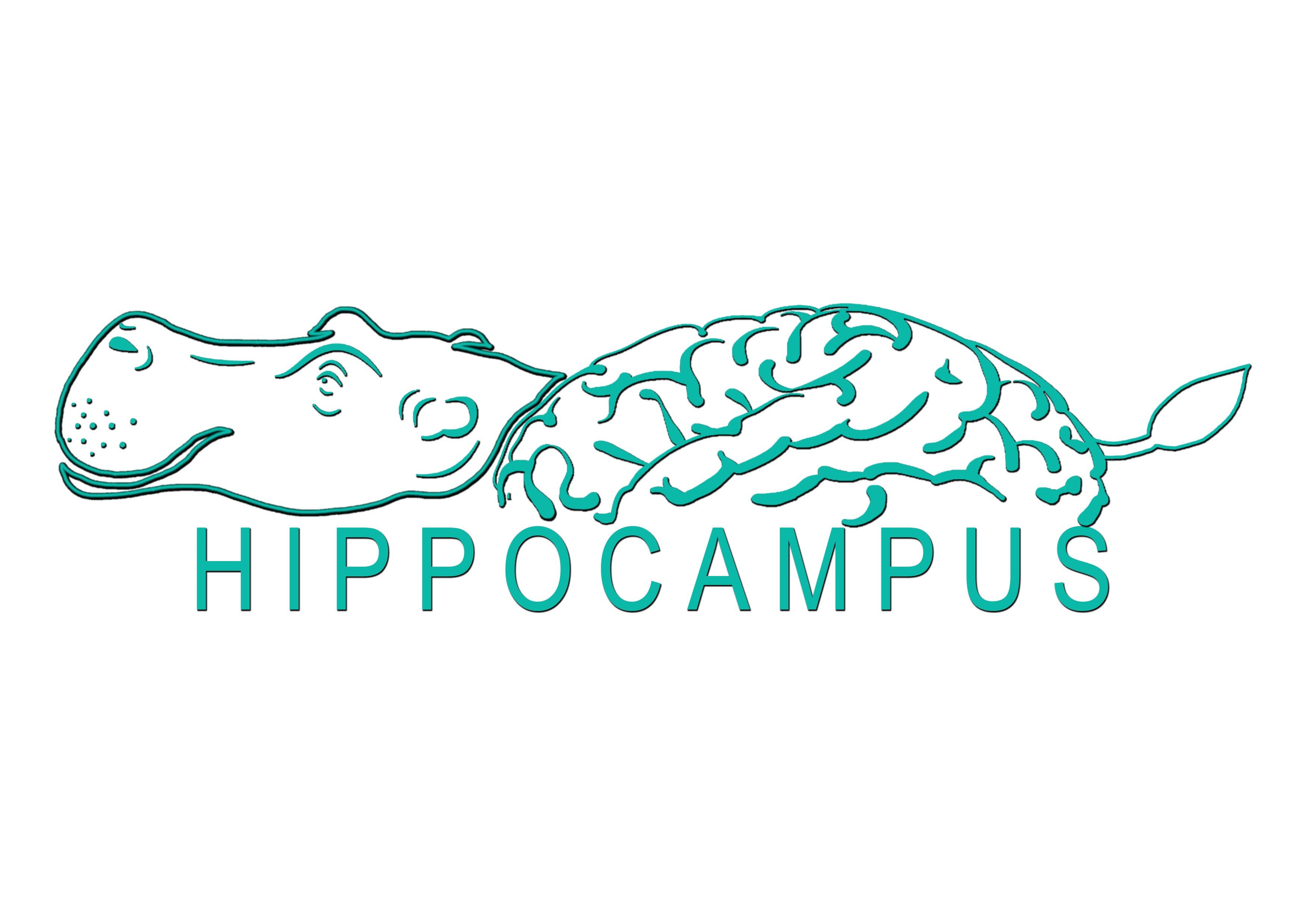 HippoCampus-final-white.gif