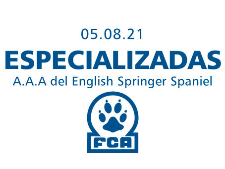Asociación Argentina Amigos del English Springer Spaniel
