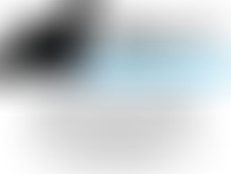 Club del Cocker Americano