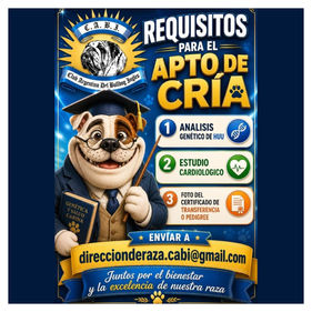 El Club Argentino del Bulldog Inglés establece nuevos requisitos para el Apto de Cría